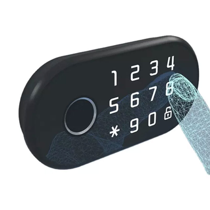 Impronta digitale biometrica di Tuya della serratura RFID di parola d'ordine astuta elettrica della carta per il cassetto del Governo