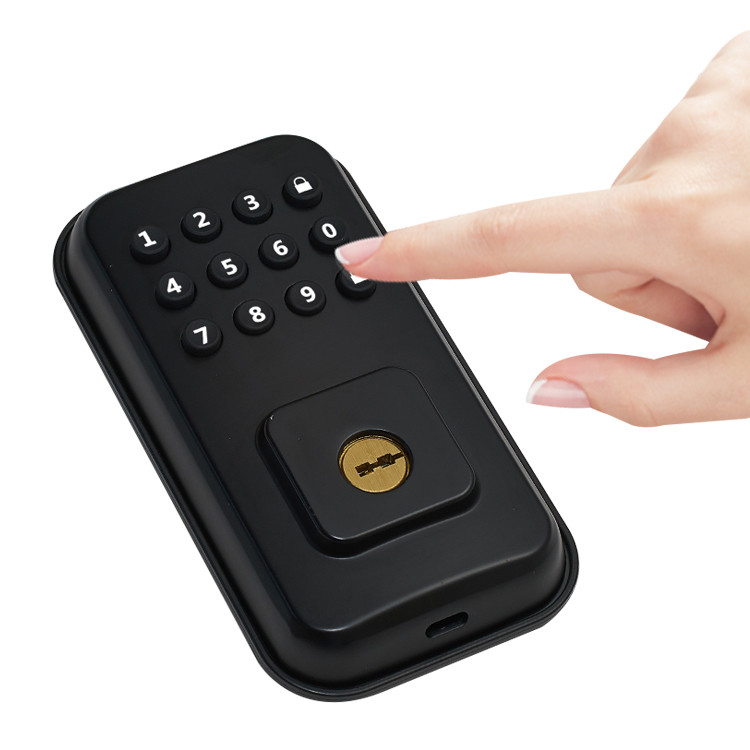 Serratura di porta astuta di sicurezza dell'impronta digitale elettrica magnetica astuta biometrica della serratura