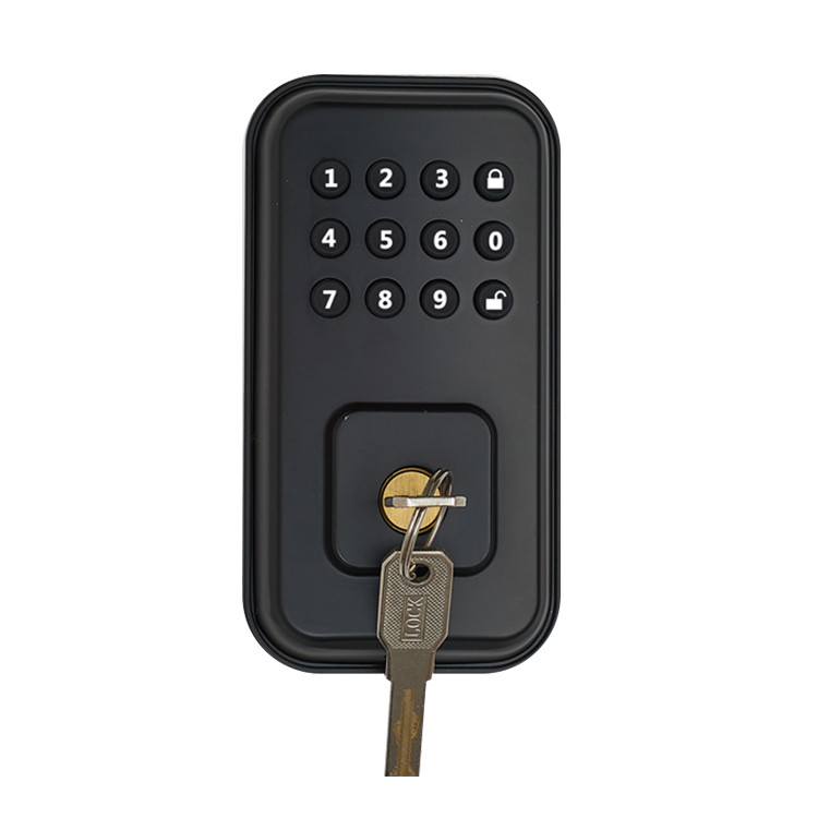 Serratura di porta astuta di sicurezza dell'impronta digitale elettrica magnetica astuta biometrica della serratura
