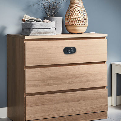 Impronta digitale biometrica di Tuya della serratura RFID di parola d'ordine astuta elettrica della carta per il cassetto del Governo